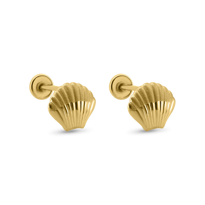 14 Karat Yellow Gold Seashell Screw Back Earrings - 14E00390
