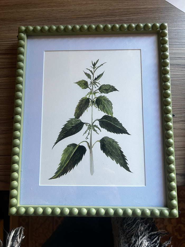 Nettle