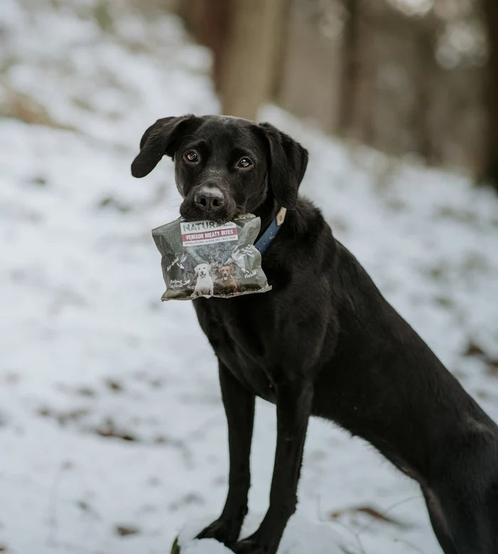 Anco Training Dog Treats- Venison Bites