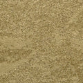 Bel Air in Palms Carpet