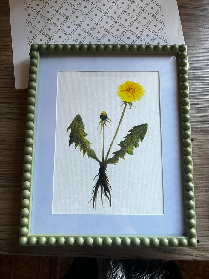 Dandelion