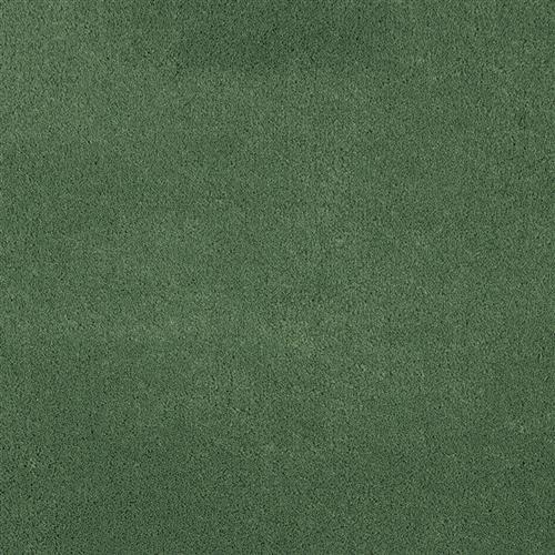 Lawn