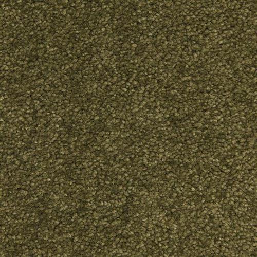 Verde Oliva