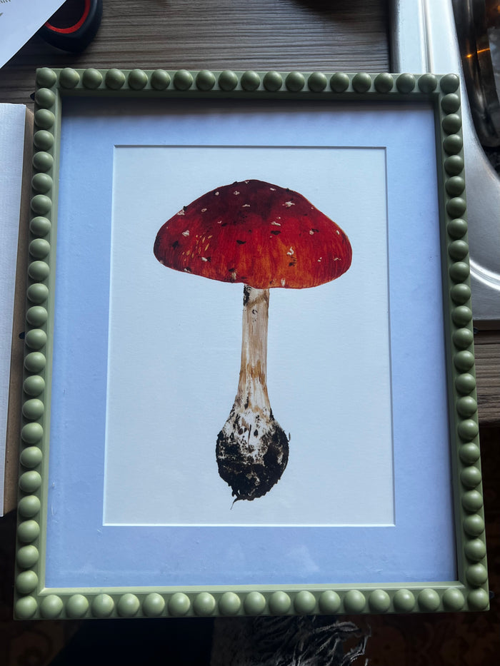 Foraging Bundle