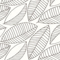Frangipani4.jpg