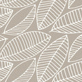 Frangipani3.jpg