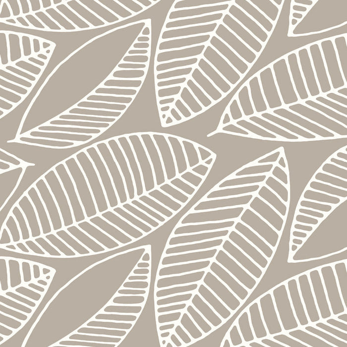 Frangipani3.jpg
