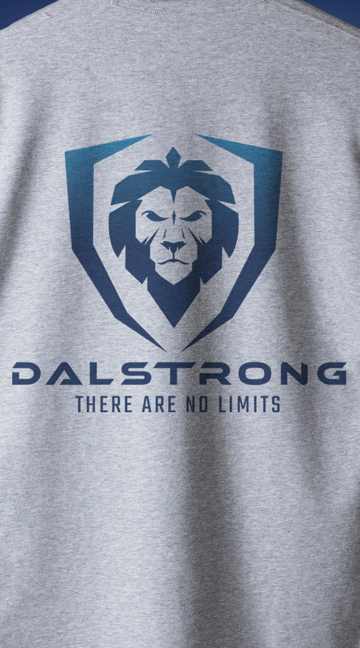 Dalstrong no limits youth dalstrong basic tee grey back design.