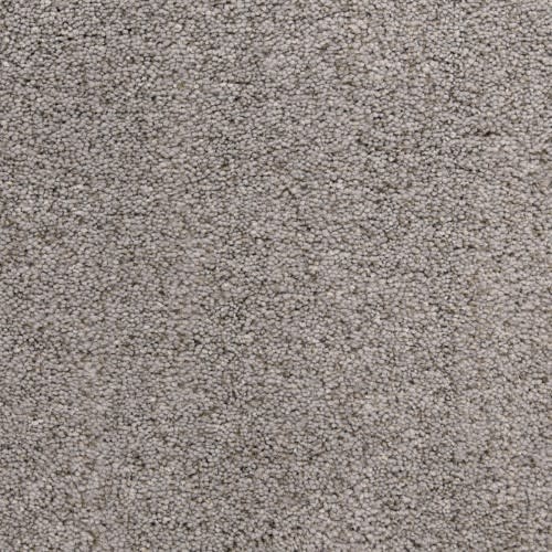 Seal Grey