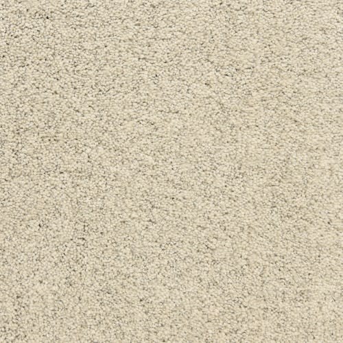 Sea Wall