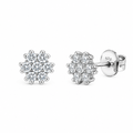 Rhodium Plated 925 Sterling Silver Lab Grown Diamonds Nova Stud Earring - LGTGE00055