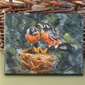 Robins Nest