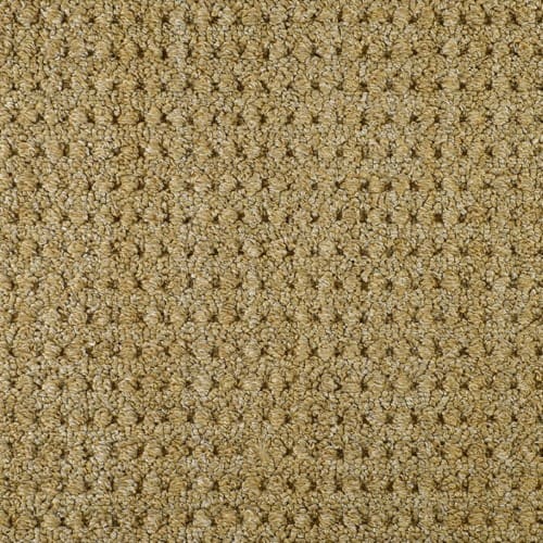 Star Grass