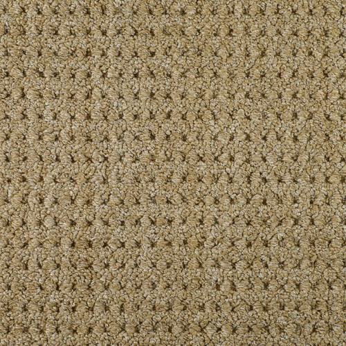 Jute