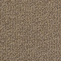 Savant in Mind Carpet