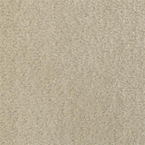 Ivory Cream
