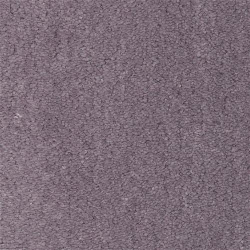 Veiled Plum