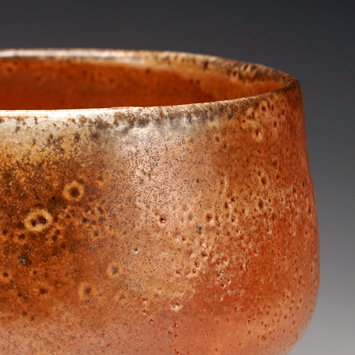 Shino Wood Fired Bowl