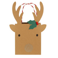 Small Reindeer Gift Bags