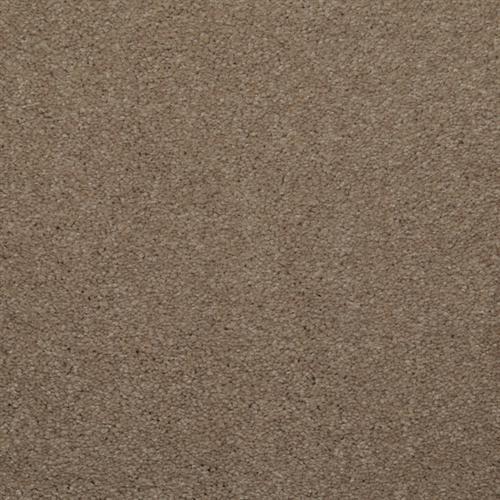 Khaki Tone