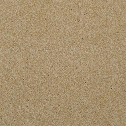 Sand Dune