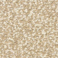 Spirit in Thunder Carpet