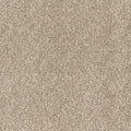 Spring Fling in Bungalow Carpet
