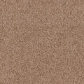 Summer Breeze in Sunset Carpet