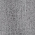 Suspicion in Shady Carpet