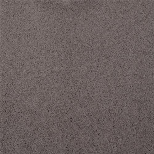 Falcon Grey