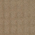 TRADITIONS in Smoky Ash Carpet