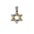 Two Tone Gold & Rhodium Plated Stainless Steel Star of David Pendant - SSP00501GP